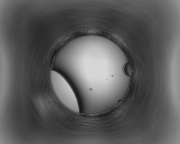 X0000085270643200703090916