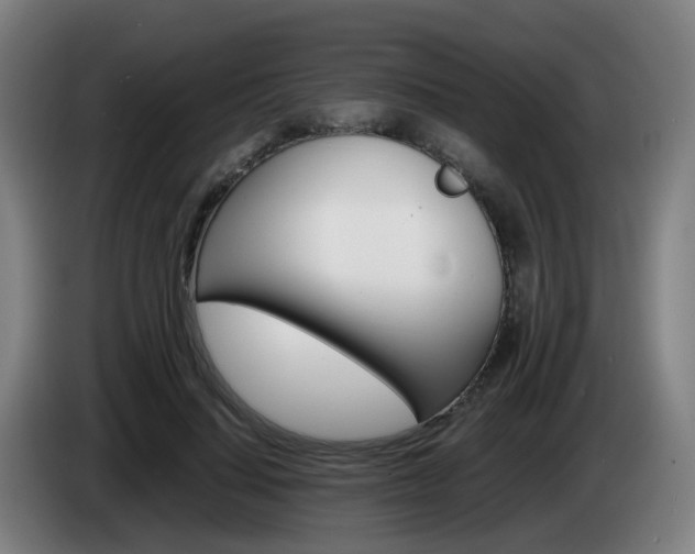X0000085270644200703090916