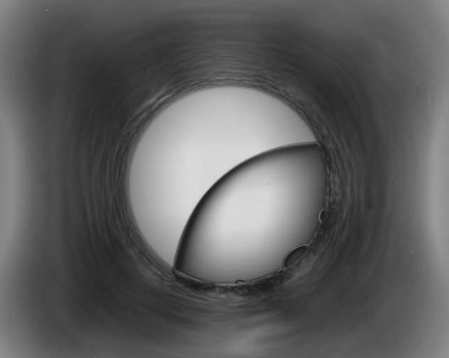 X0000085270648200703090916