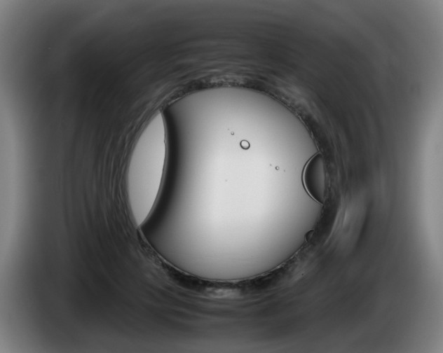 X0000085270649200703090916