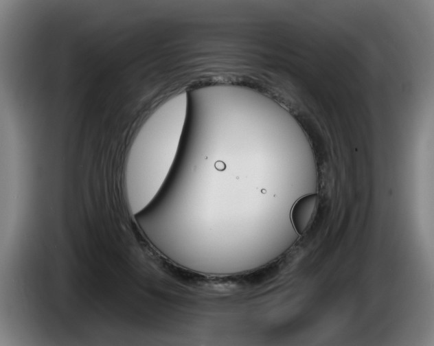 X0000085270650200703090916