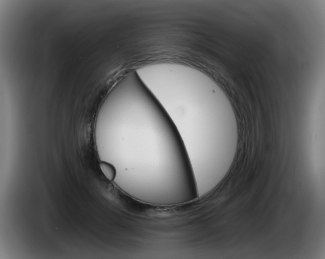 X0000085270652200703090916