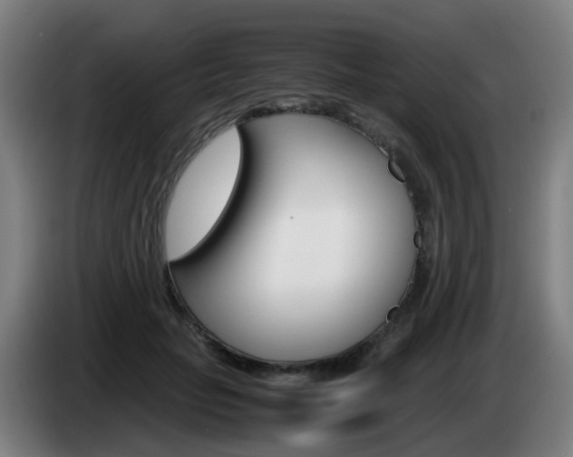 X0000085270653200703090916