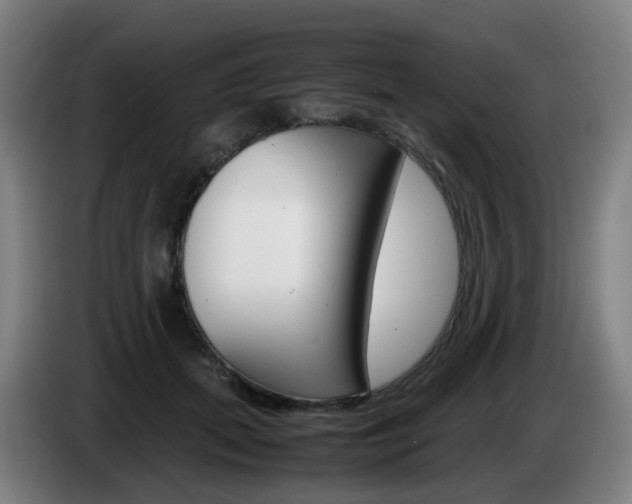X0000085270655200703090916
