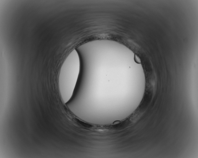 X0000085270658200703090916