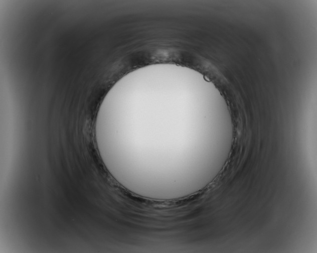 X0000085270659200703090916