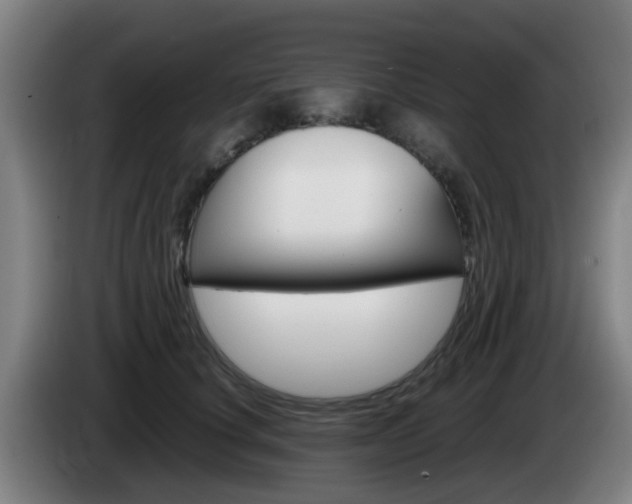 X0000085270660200703090916