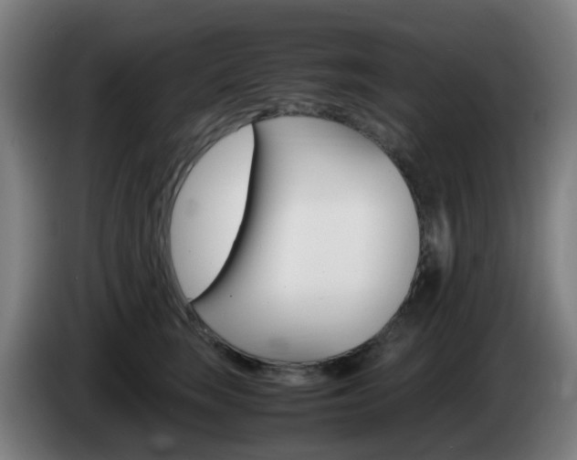 X0000085270663200703090917
