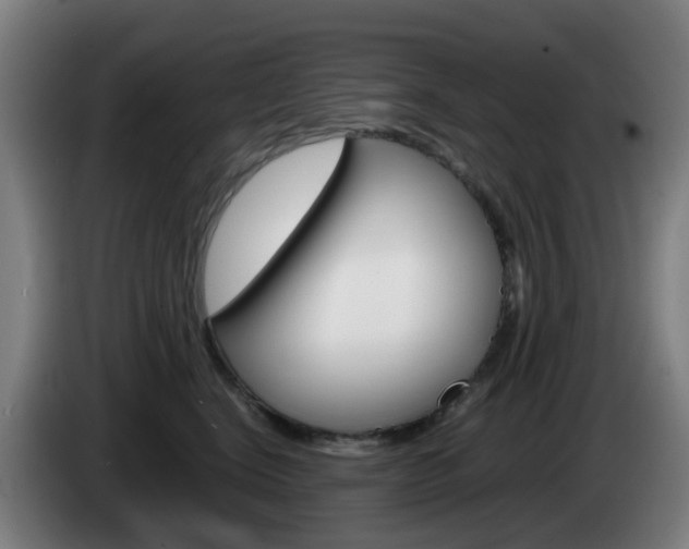 X0000085270664200703090917