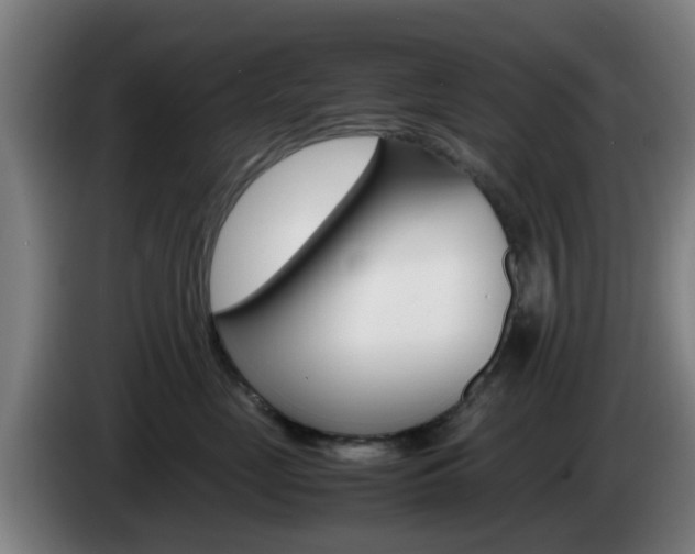 X0000085270669200703090917