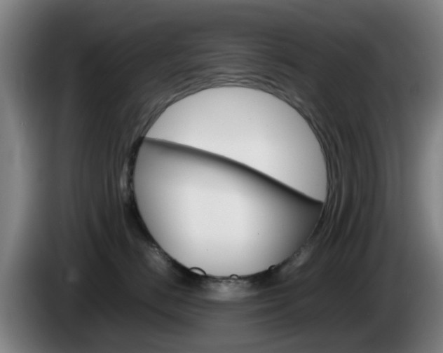 X0000085270670200703090917