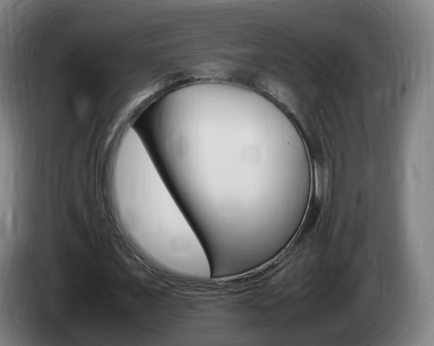 X0000085270675200703090916