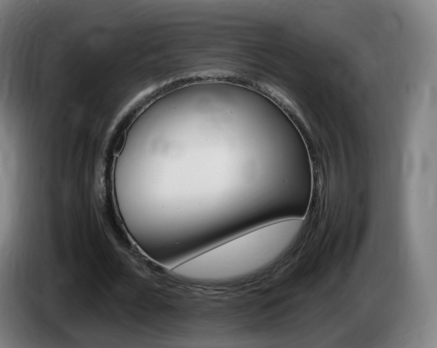 X0000085270676200703090916