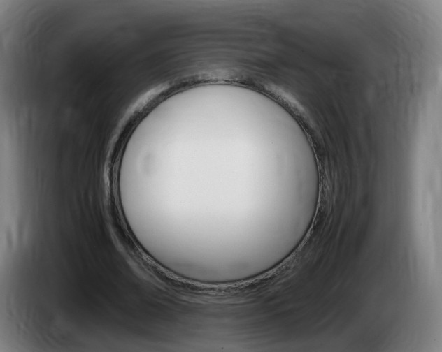 X0000085270678200703090916