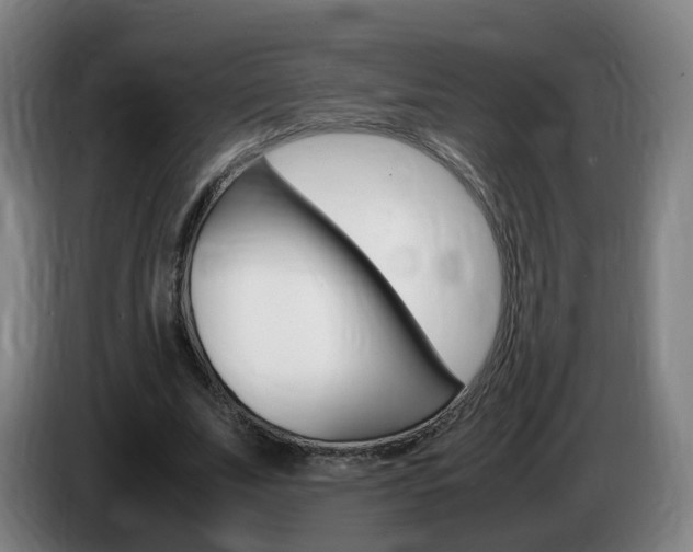 X0000085270679200703090916