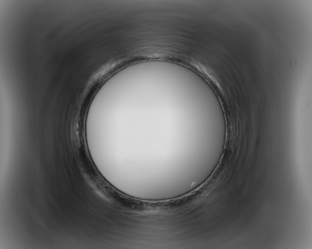 X0000085270682200703090916