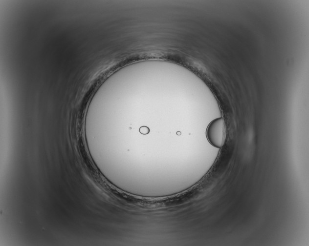 X0000085270683200703090916