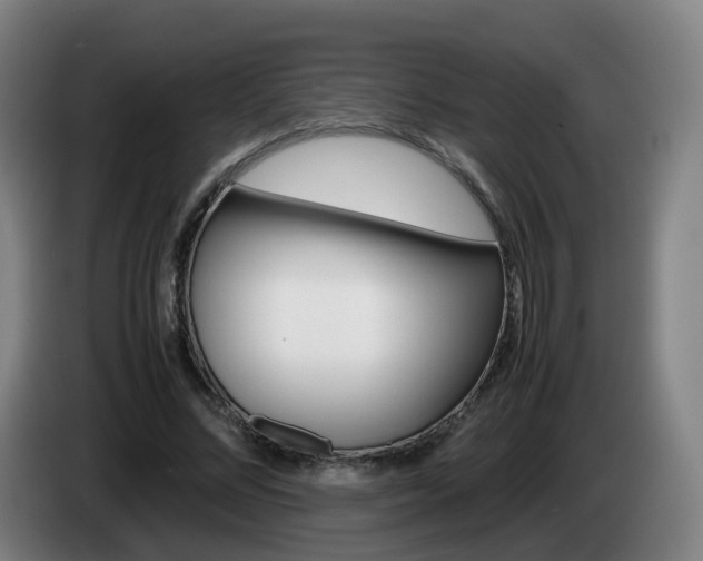X0000085270684200703090916