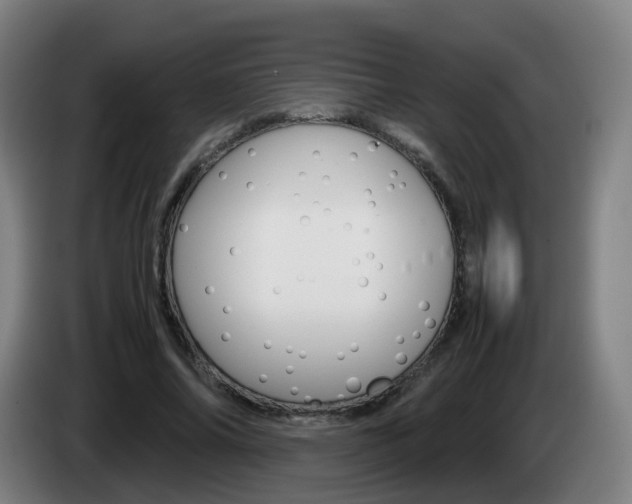 X0000085270686200703090916