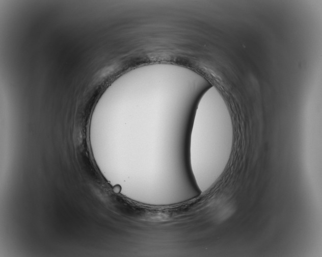 X0000085270687200703090916