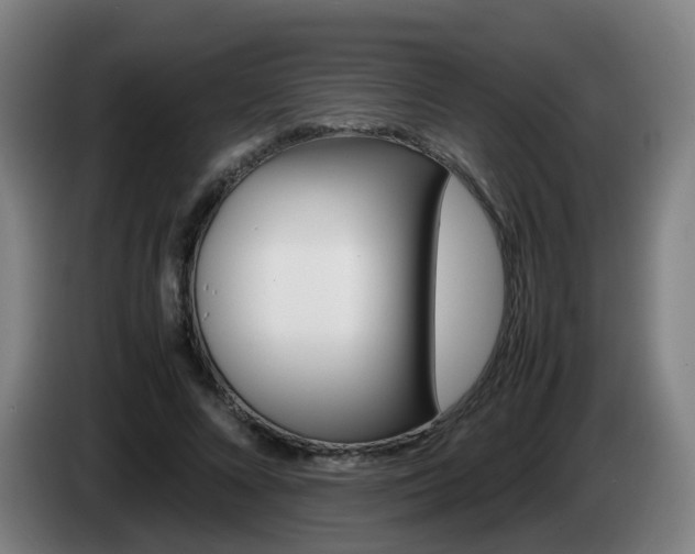 X0000085270688200703090916