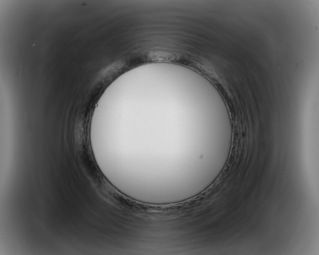 X0000085270690200703090916