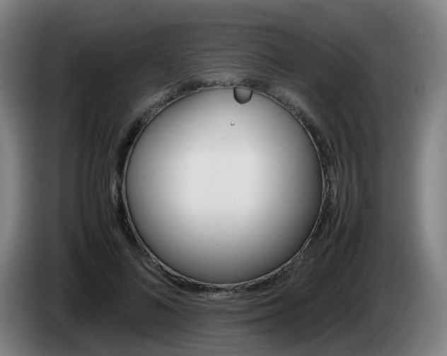 X0000085270692200703090916