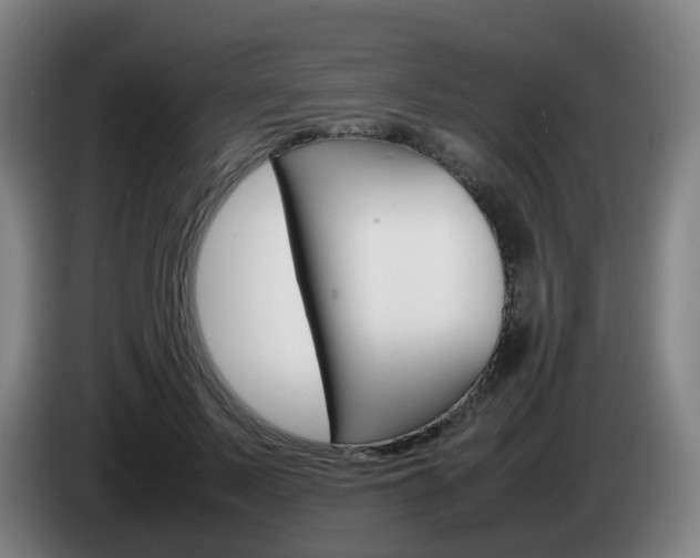 X0000085270695200703090916