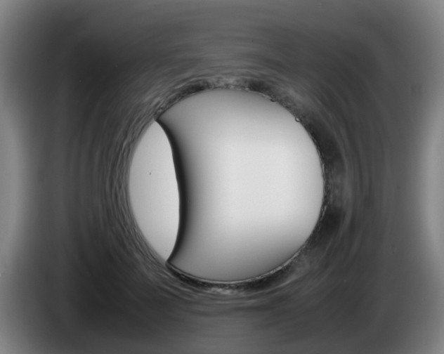 X0000085270699200703090916