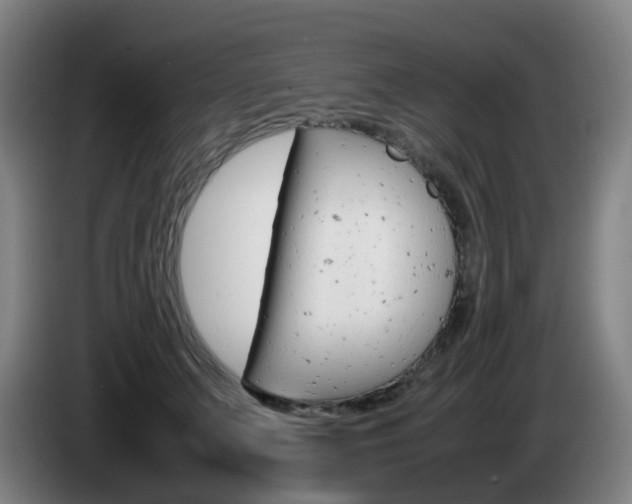 X0000085270703200703090916