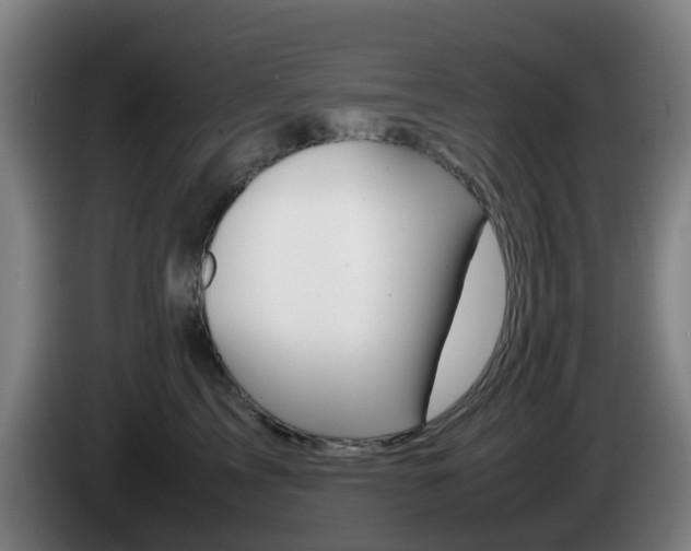 X0000085270713200703090915