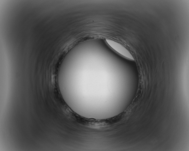 X0000085270716200703090915