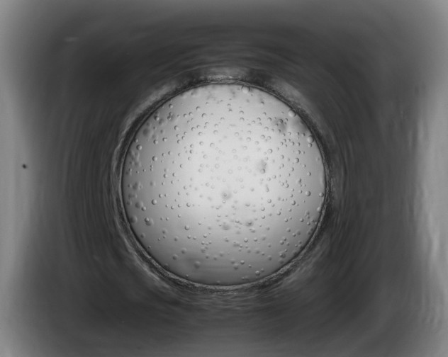 X0000085270721200703090915