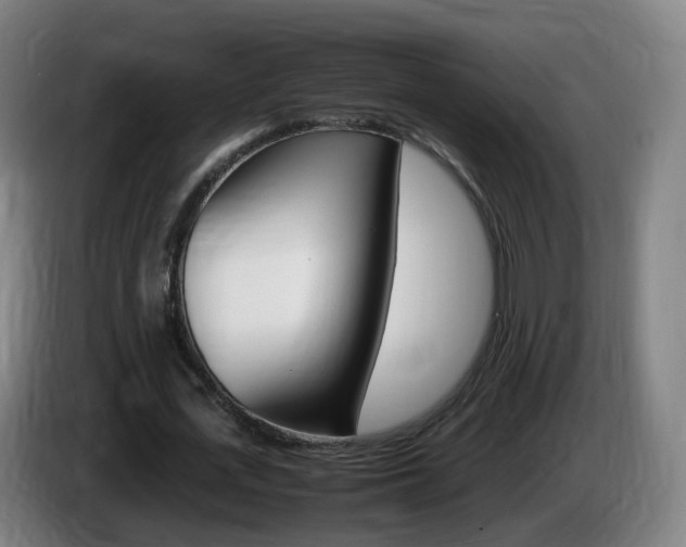 X0000085270723200703090915