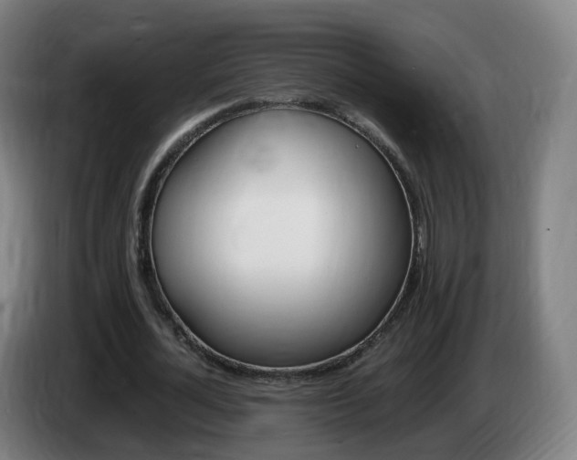 X0000085270724200703090915