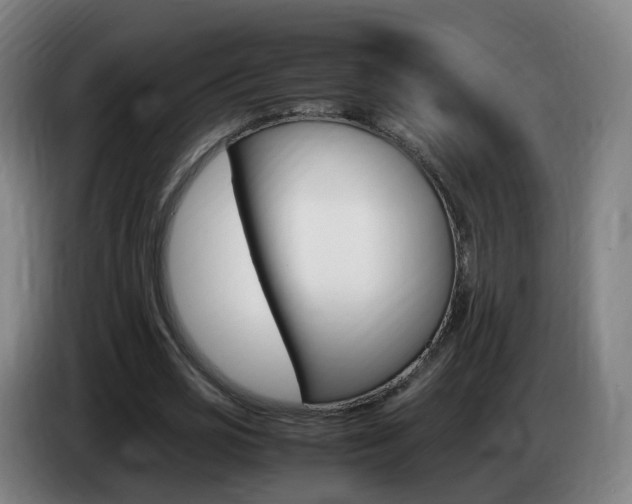 X0000085270725200703090915