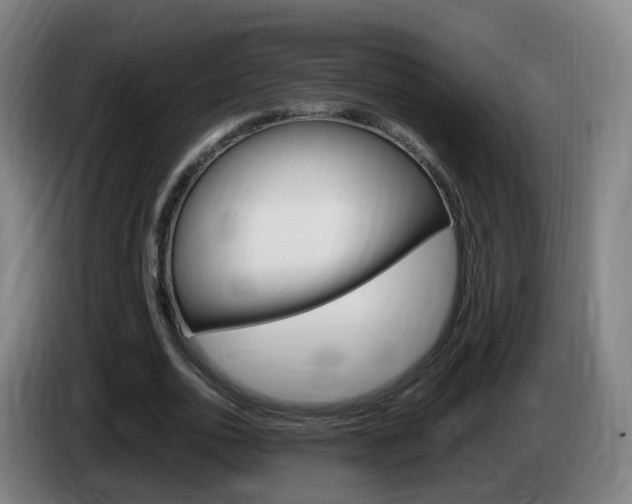 X0000085270726200703090915
