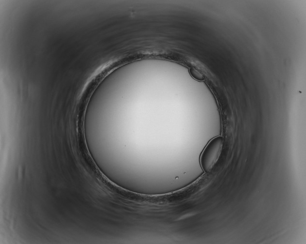X0000085270727200703090915