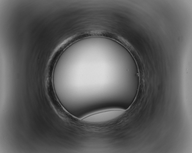 X0000085270728200703090915