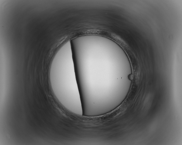 X0000085270729200703090915