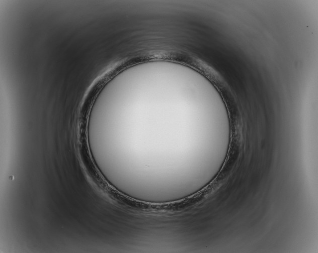 X0000085270730200703090915