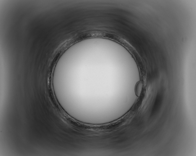 X0000085270733200703090915