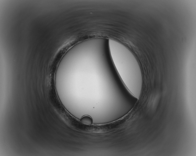 X0000085270735200703090915