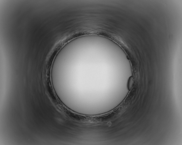 X0000085270736200703090915