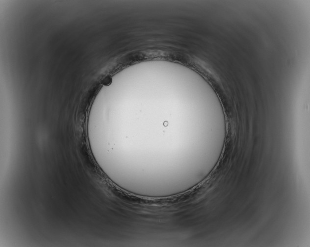 X0000085270737200703090915