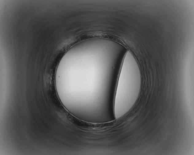 X0000085270739200703090915