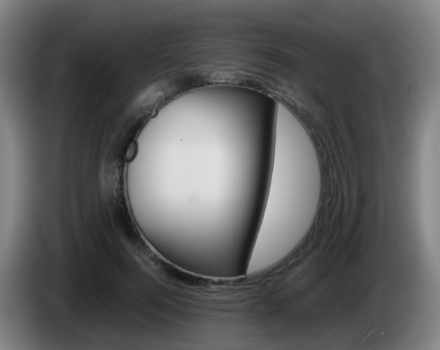 X0000085270744200703090915