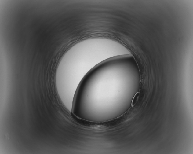 X0000085270748200703090915