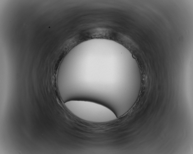 X0000085270753200703090915