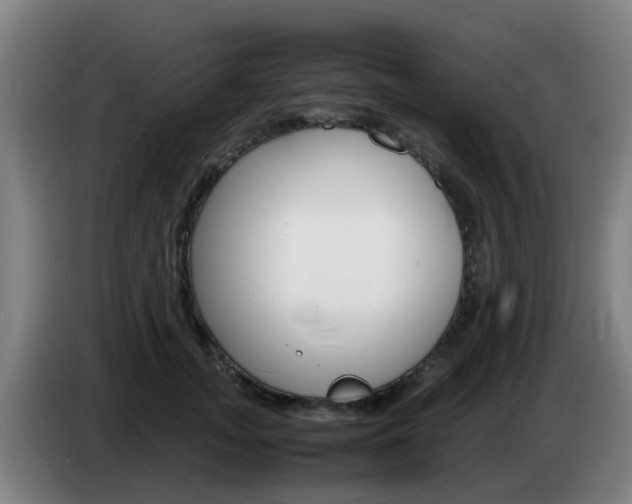 X0000085270755200703090915